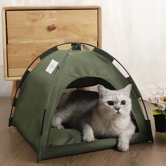CozyClamshell: The Comfy Cat Haven