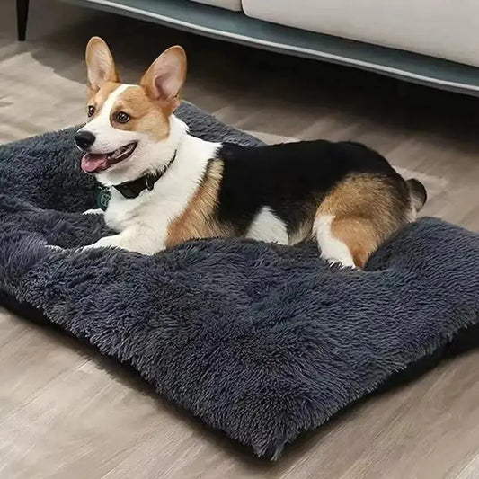 CozyHaven Plush Comfort: Large Dog Bed