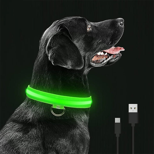 GlowPup Safety Necklace